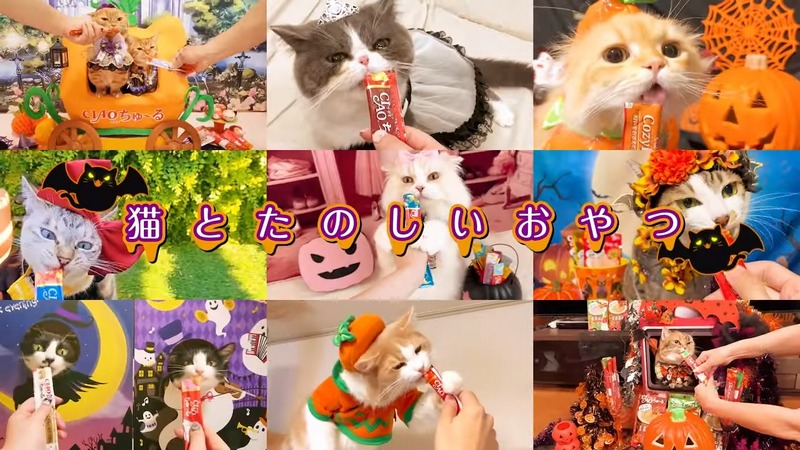 日本貓食品牌為慶祝貓之日在東京新宿站刊登超大海報,暗藏許多小巧思 - 電腦王阿達 日本貓食品牌為慶祝貓之日在東京新宿站刊登超大海報,暗藏許多小巧思 - 電腦王阿達