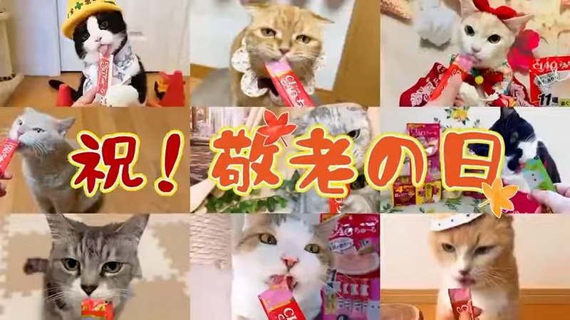 日本貓食品牌為慶祝貓之日在東京新宿站刊登超大海報,暗藏許多小巧思 - 電腦王阿達 日本貓食品牌為慶祝貓之日在東京新宿站刊登超大海報,暗藏許多小巧思 - 電腦王阿達