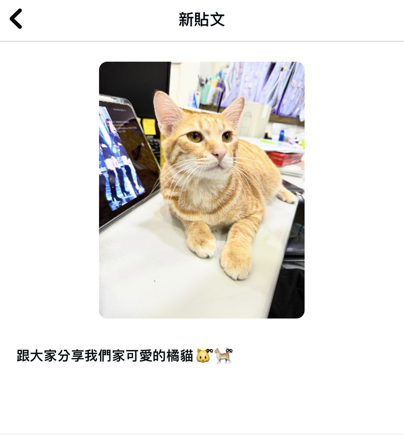 蘋果用戶看過來 教你怎麼用內建鍵盤打出跟別人不一樣的表情符號 - 電腦王阿達 蘋果用戶看過來 教你怎麼用內建鍵盤打出跟別人不一樣的表情符號 - 電腦王阿達