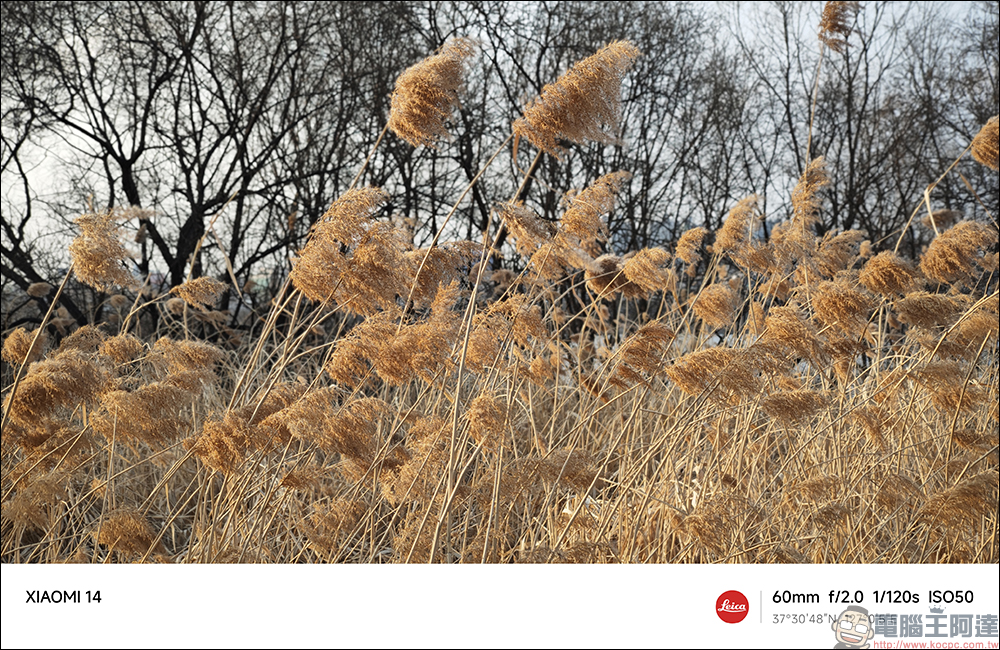 Xiaomi 14 開箱與徠卡攝影實拍體驗|帶著新一代徠卡光學回「徠」,打造全能專業影像旗艦|Xiaomi 手環 8 Pro 體驗大躍進 - 電腦王阿達 Xiaomi 14 開箱與徠卡攝影實拍體驗|帶著新一代徠卡光學回「徠」,打造全能專業影像旗艦|Xiaomi 手環 8 Pro 體驗大躍進 - 電腦王阿達