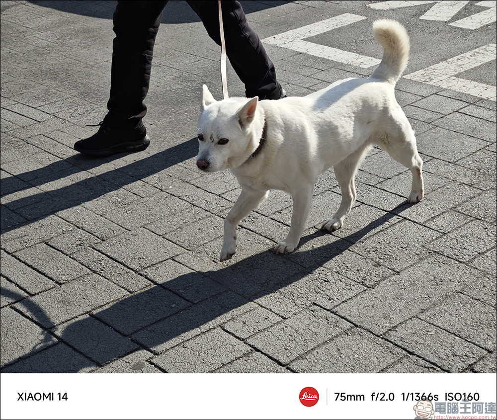 Xiaomi 14 開箱與徠卡攝影實拍體驗|帶著新一代徠卡光學回「徠」,打造全能專業影像旗艦|Xiaomi 手環 8 Pro 體驗大躍進 - 電腦王阿達 Xiaomi 14 開箱與徠卡攝影實拍體驗|帶著新一代徠卡光學回「徠」,打造全能專業影像旗艦|Xiaomi 手環 8 Pro 體驗大躍進 - 電腦王阿達