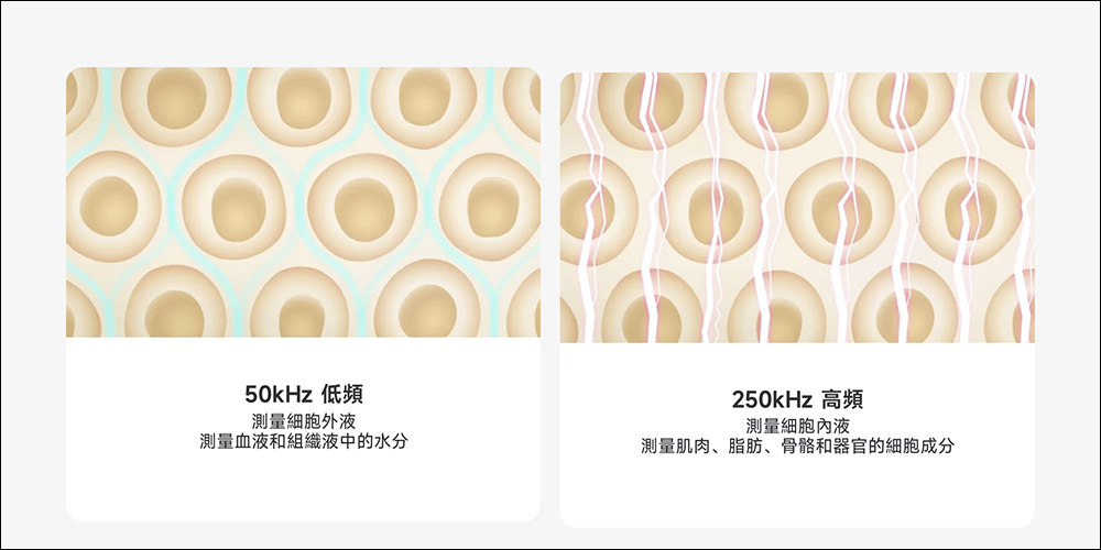 小米 Xiaomi 體脂計 S400 將於 4/1 在台開賣!可分析 25 項身體組成指標,售價 495 元 - 電腦王阿達 小米 Xiaomi 體脂計 S400 將於 4/1 在台開賣!可分析 25 項身體組成指標,售價 495 元 - 電腦王阿達