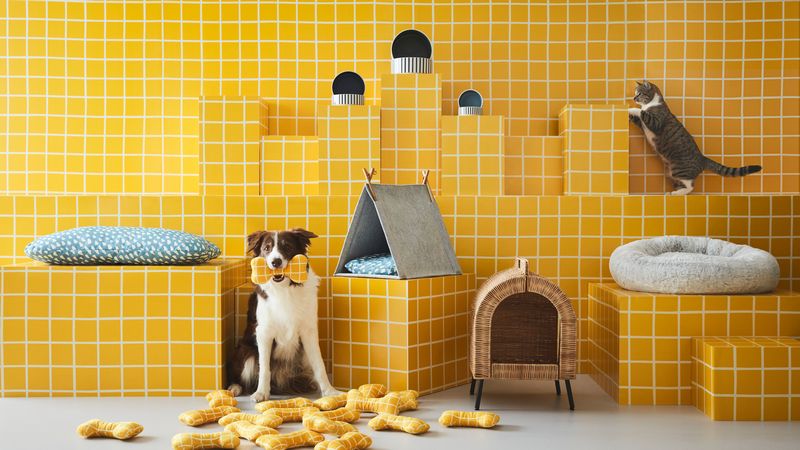 狗狗貓貓不小心打翻家中物品?IKEA 新廣告告訴你「別擔心,你有能力負擔得起。」 - 電腦王阿達 狗狗貓貓不小心打翻家中物品?IKEA 新廣告告訴你「別擔心,你有能力負擔得起。」 - 電腦王阿達