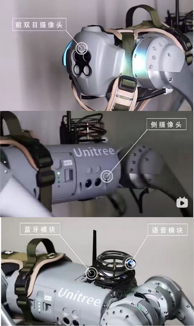 中國西北工業大學研製出可離線使用的機器導盲犬 InternDog - 電腦王阿達 中國西北工業大學研製出可離線使用的機器導盲犬 InternDog - 電腦王阿達
