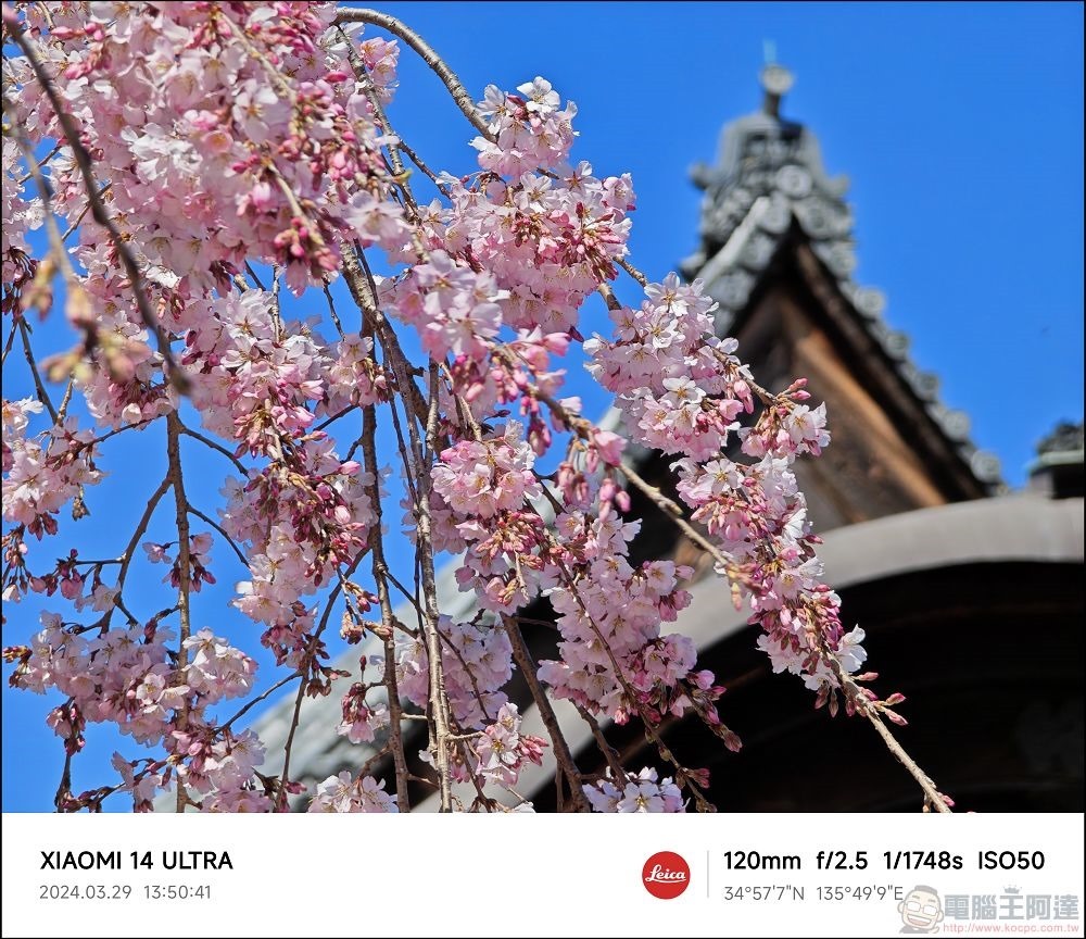 Xiaomi 14 Ultra 拍攝樣張 - 027 Xiaomi 14 Ultra 拍攝樣張 - 027