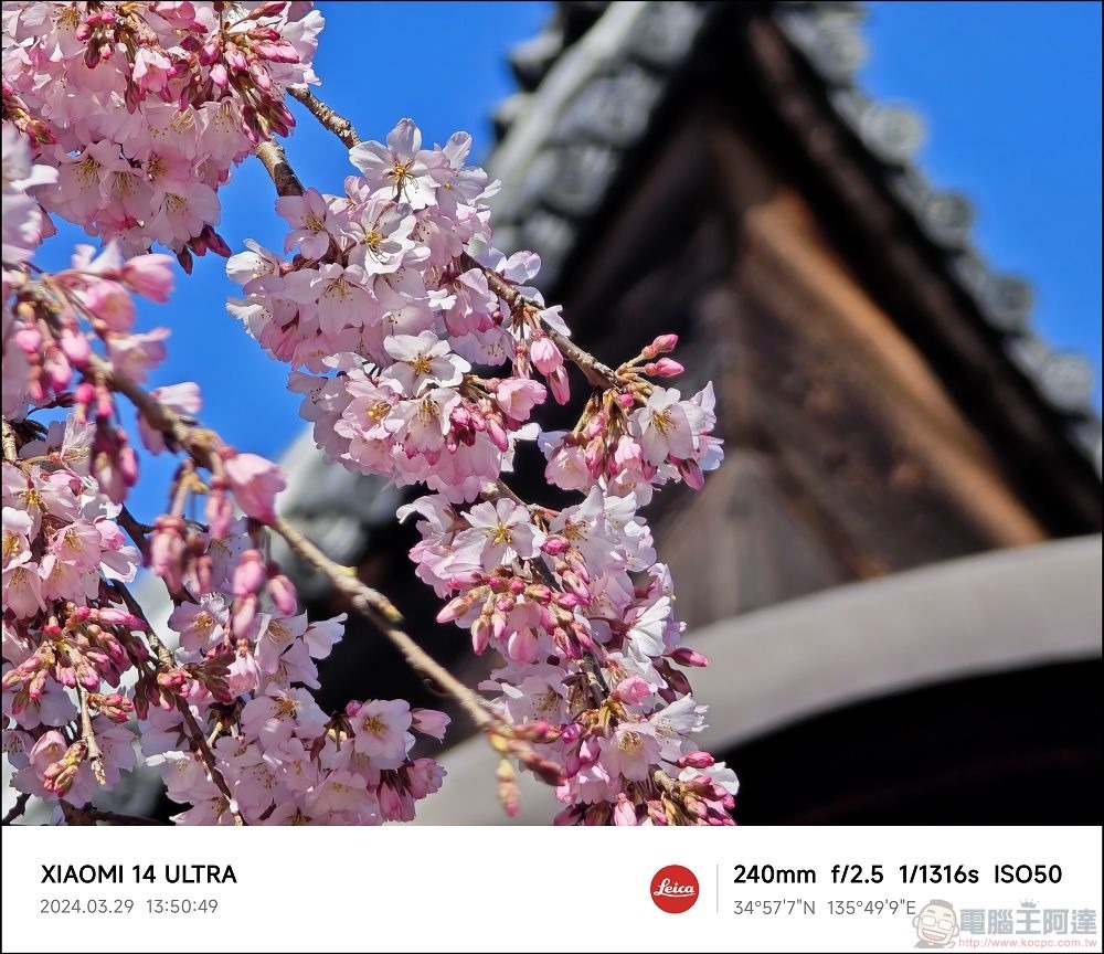 Xiaomi 14 Ultra 拍攝樣張 - 028 Xiaomi 14 Ultra 拍攝樣張 - 028