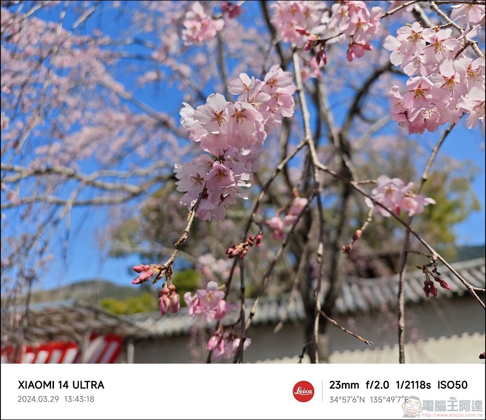Xiaomi 14 Ultra 拍攝樣張 - 029 Xiaomi 14 Ultra 拍攝樣張 - 029
