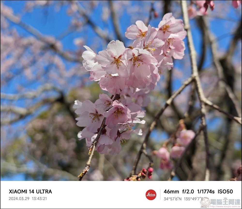 Xiaomi 14 Ultra 拍攝樣張 - 030 Xiaomi 14 Ultra 拍攝樣張 - 030