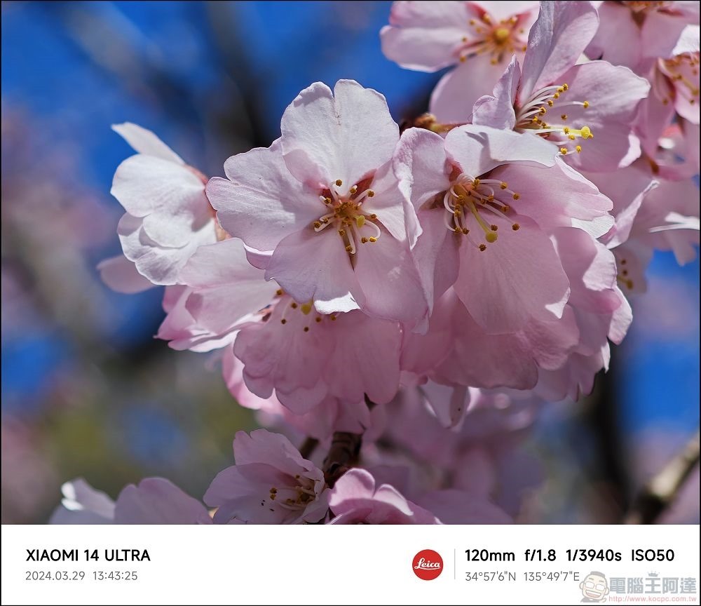 Xiaomi 14 Ultra 拍攝樣張 - 031 Xiaomi 14 Ultra 拍攝樣張 - 031