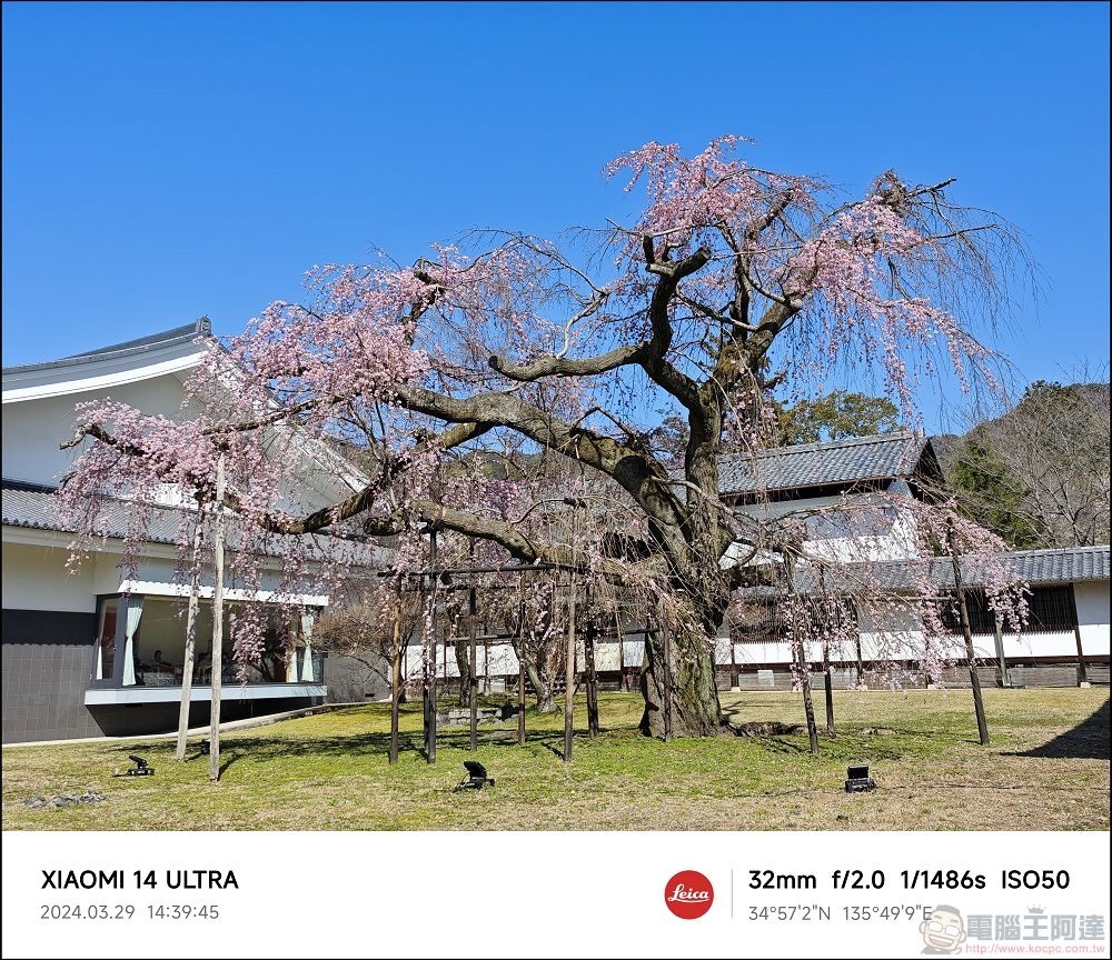 Xiaomi 14 Ultra 拍攝樣張 - 035 Xiaomi 14 Ultra 拍攝樣張 - 035