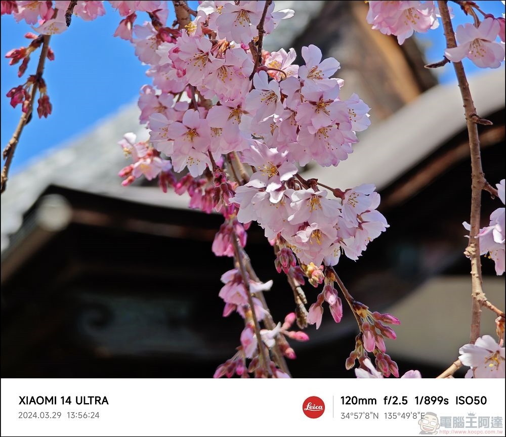 Xiaomi 14 Ultra 拍攝樣張 - 047 Xiaomi 14 Ultra 拍攝樣張 - 047
