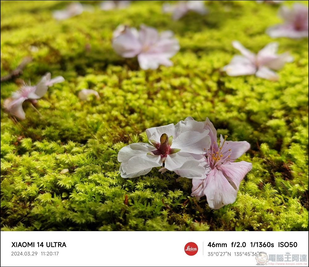 Xiaomi 14 Ultra 拍攝樣張 - 049 Xiaomi 14 Ultra 拍攝樣張 - 049