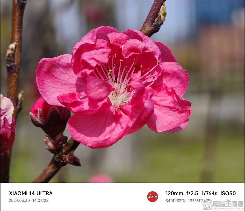 Xiaomi 14 Ultra 拍攝樣張 - 052 Xiaomi 14 Ultra 拍攝樣張 - 052
