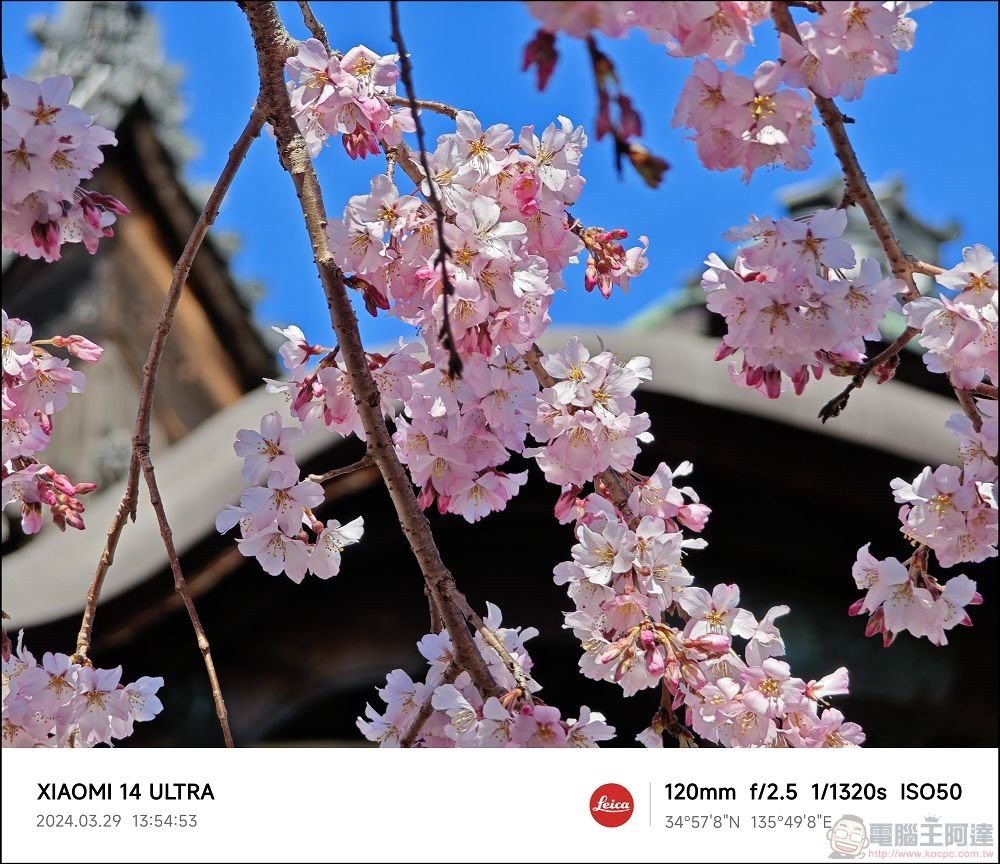 Xiaomi 14 Ultra 拍攝樣張 - 053 Xiaomi 14 Ultra 拍攝樣張 - 053