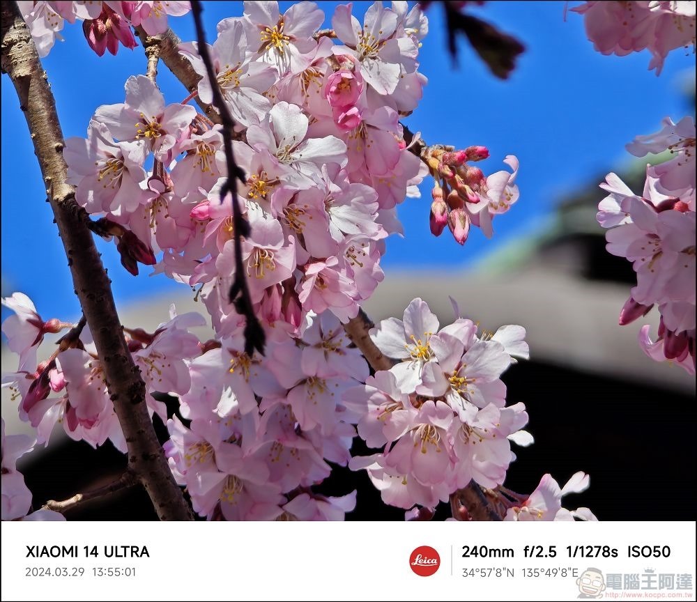Xiaomi 14 Ultra 拍攝樣張 - 054 Xiaomi 14 Ultra 拍攝樣張 - 054