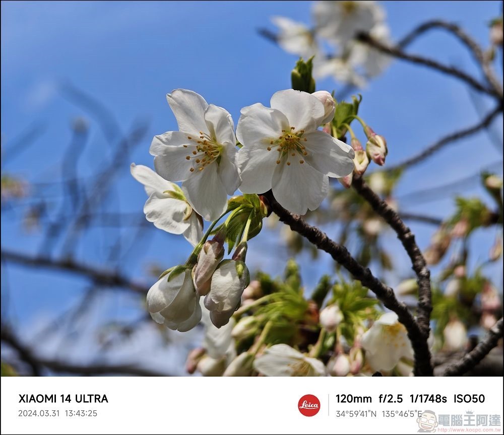 Xiaomi 14 Ultra 拍攝樣張 - 055 Xiaomi 14 Ultra 拍攝樣張 - 055