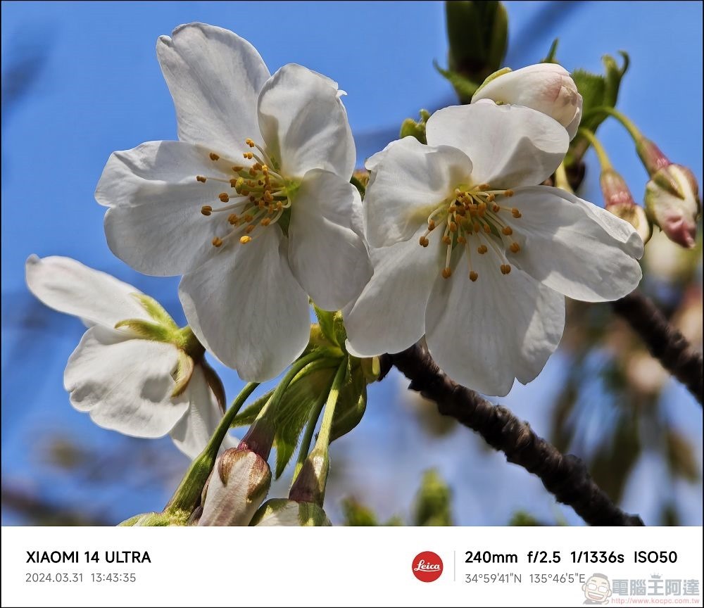 Xiaomi 14 Ultra 拍攝樣張 - 056 Xiaomi 14 Ultra 拍攝樣張 - 056