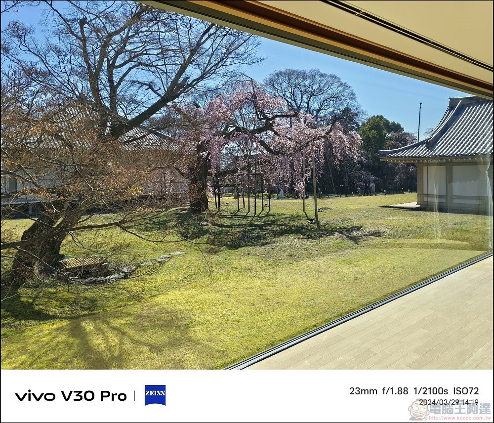 vivo V30 Pro 拍攝樣張 - 17 vivo V30 Pro 拍攝樣張 - 17