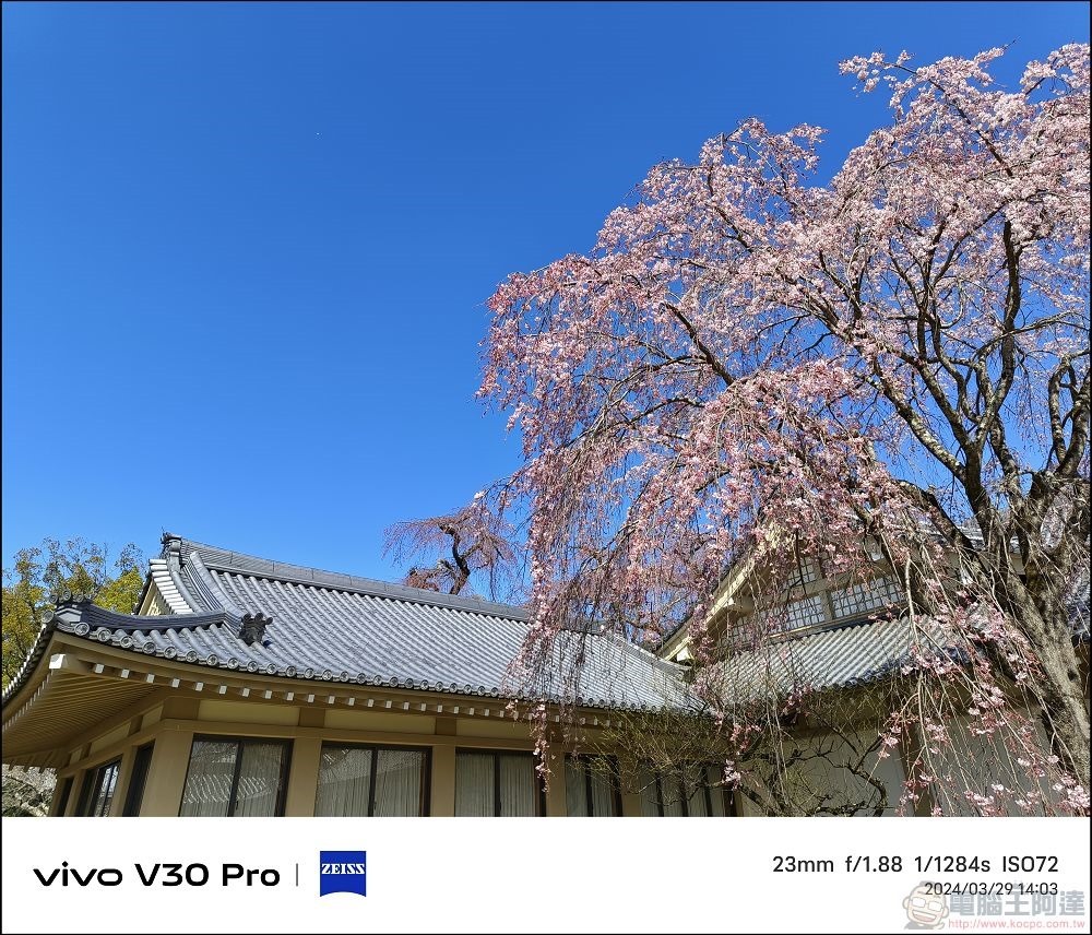 vivo V30 Pro 拍攝樣張 - 48 vivo V30 Pro 拍攝樣張 - 48