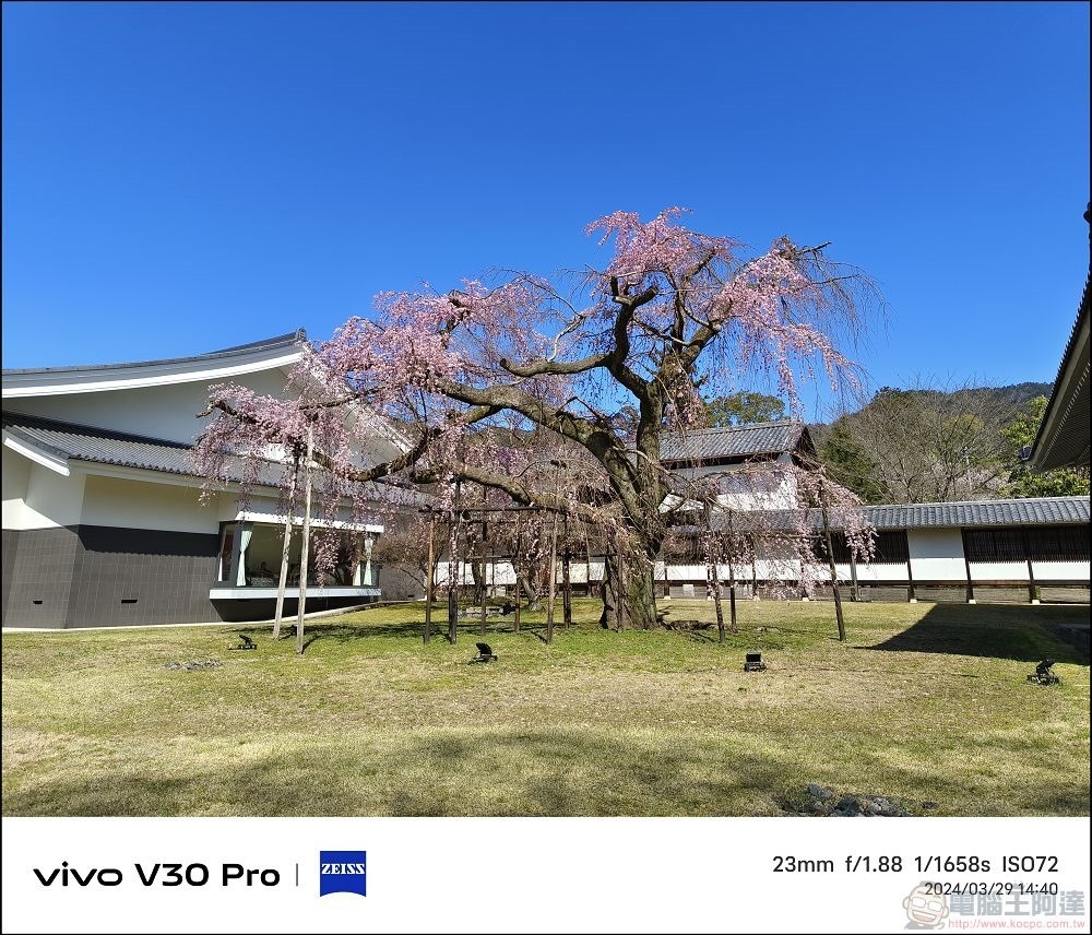vivo V30 Pro 拍攝樣張 - 49 vivo V30 Pro 拍攝樣張 - 49