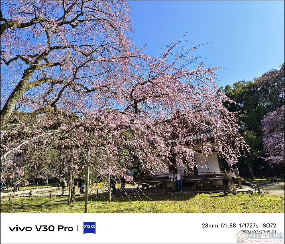 vivo V30 Pro 拍攝樣張 - 50 vivo V30 Pro 拍攝樣張 - 50