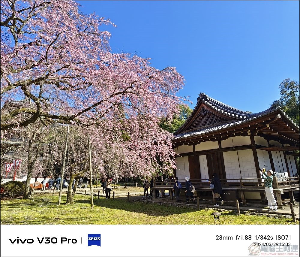 vivo V30 Pro 拍攝樣張 - 51 vivo V30 Pro 拍攝樣張 - 51