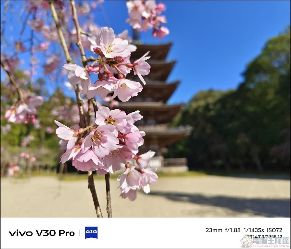 vivo V30 Pro 拍攝樣張 - 52 vivo V30 Pro 拍攝樣張 - 52