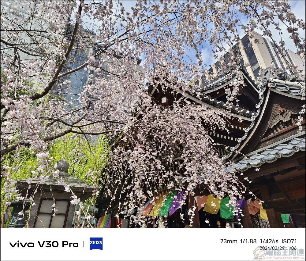 vivo V30 Pro 拍攝樣張 - 54 vivo V30 Pro 拍攝樣張 - 54