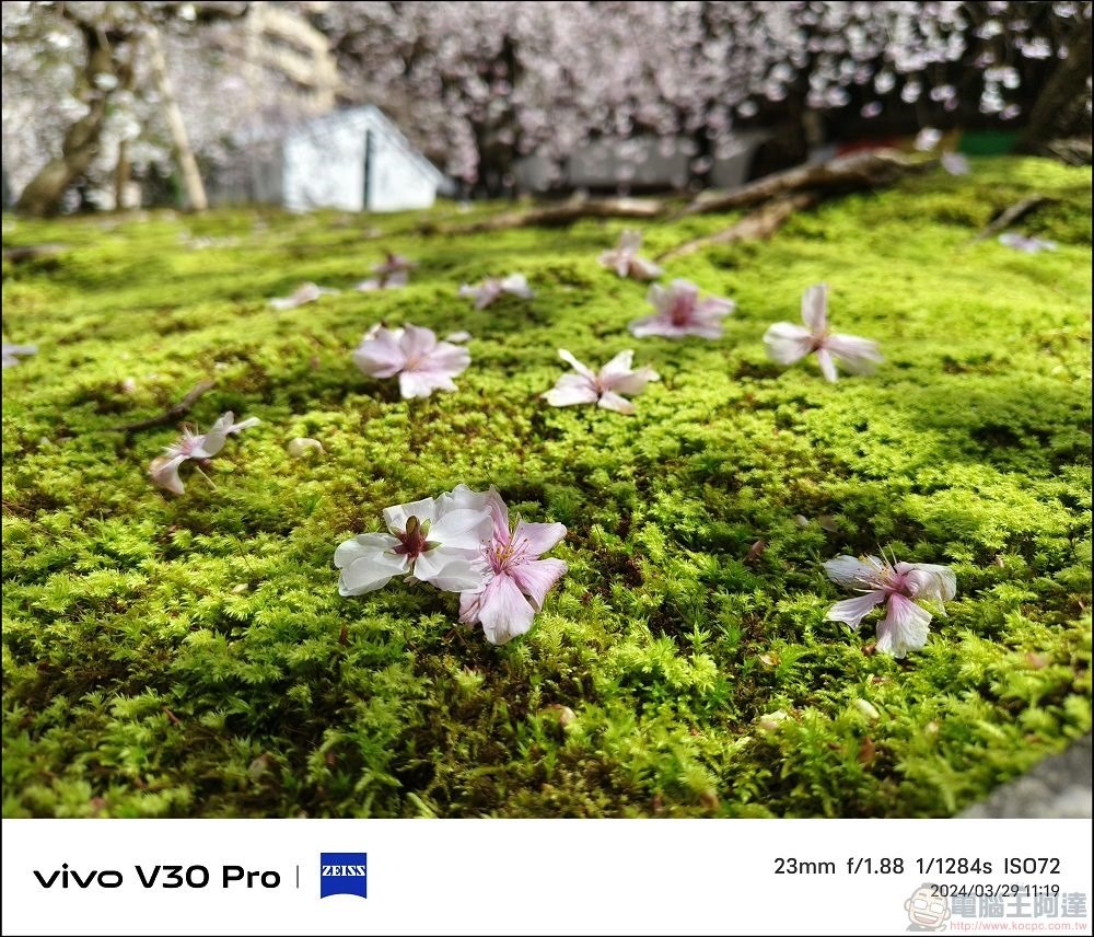 vivo V30 Pro 拍攝樣張 - 55