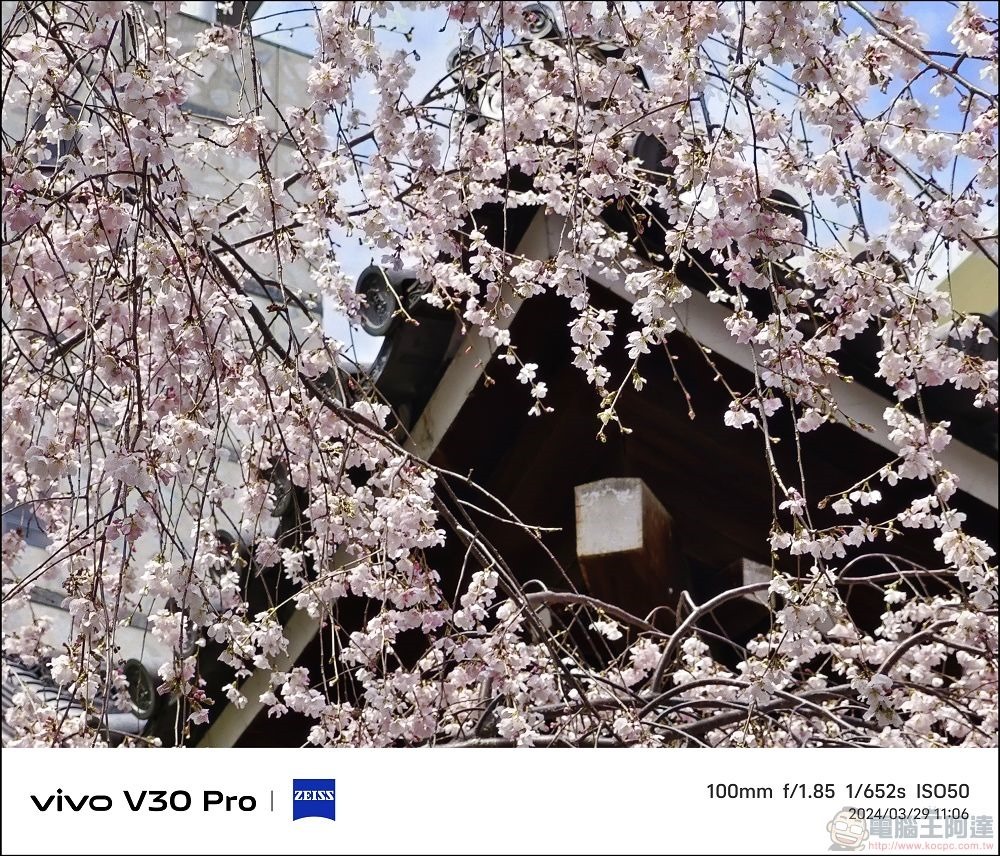 vivo V30 Pro 拍攝樣張 - 56