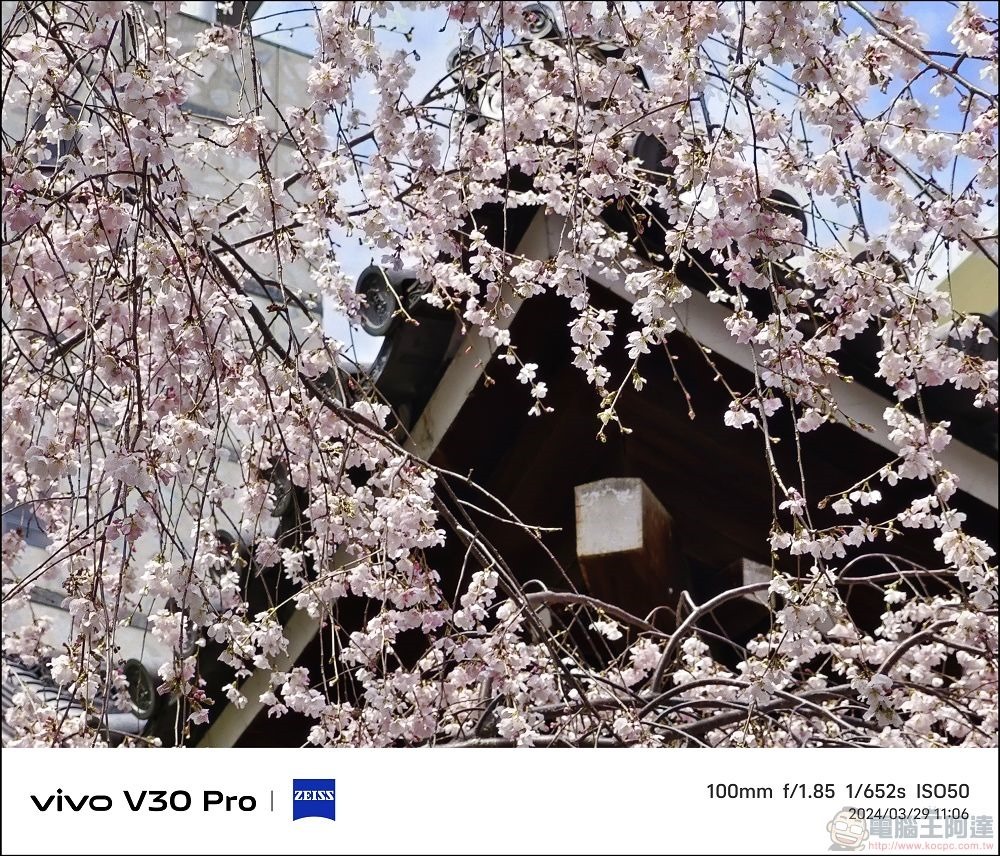vivo V30 Pro 拍攝樣張 - 56 vivo V30 Pro 拍攝樣張 - 56