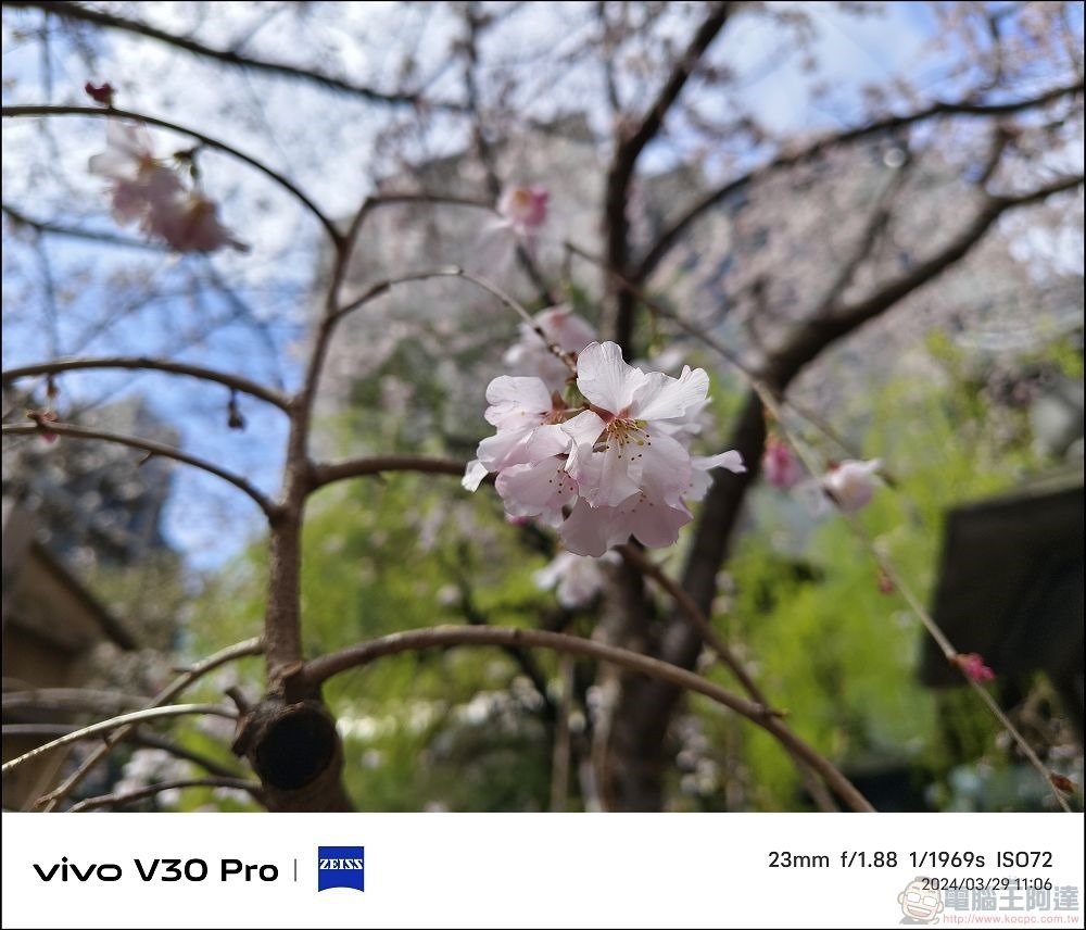 vivo V30 Pro 拍攝樣張 - 57 vivo V30 Pro 拍攝樣張 - 57