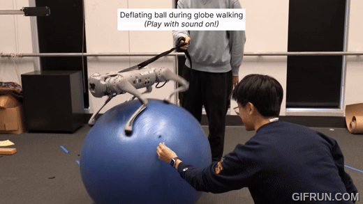 DrEureka 算法助力：機器狗克服模擬局限，瑜珈球上也能保持平衡 - 電腦王阿達