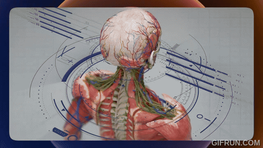 腦機接口、AI 輔助:國外初創 公司 BrainBridge 開發「頭部移植系統」移植人類頭顱 - 電腦王阿達 腦機接口、AI 輔助:國外初創 公司 BrainBridge 開發「頭部移植系統」移植人類頭顱 - 電腦王阿達
