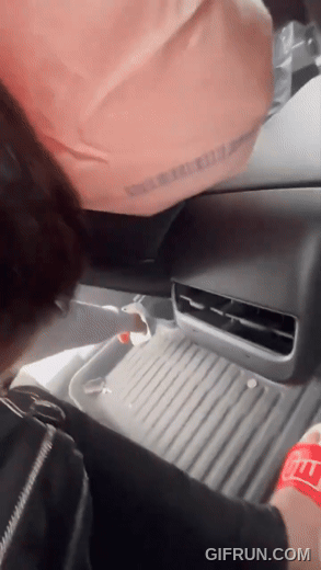 特斯拉安全防護再發威!嚴重連環車禍中護UFC戰將安然無恙 - 電腦王阿達 特斯拉安全防護再發威!嚴重連環車禍中護UFC戰將安然無恙 - 電腦王阿達