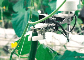 AGRIST 開發小黃瓜自動收穫機器人：AI識別、吸式手臂不傷農作物