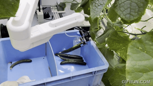 AGRIST 開發小黃瓜自動收穫機器人:AI識別、吸式手臂不傷農作物 - 電腦王阿達 AGRIST 開發小黃瓜自動收穫機器人:AI識別、吸式手臂不傷農作物 - 電腦王阿達