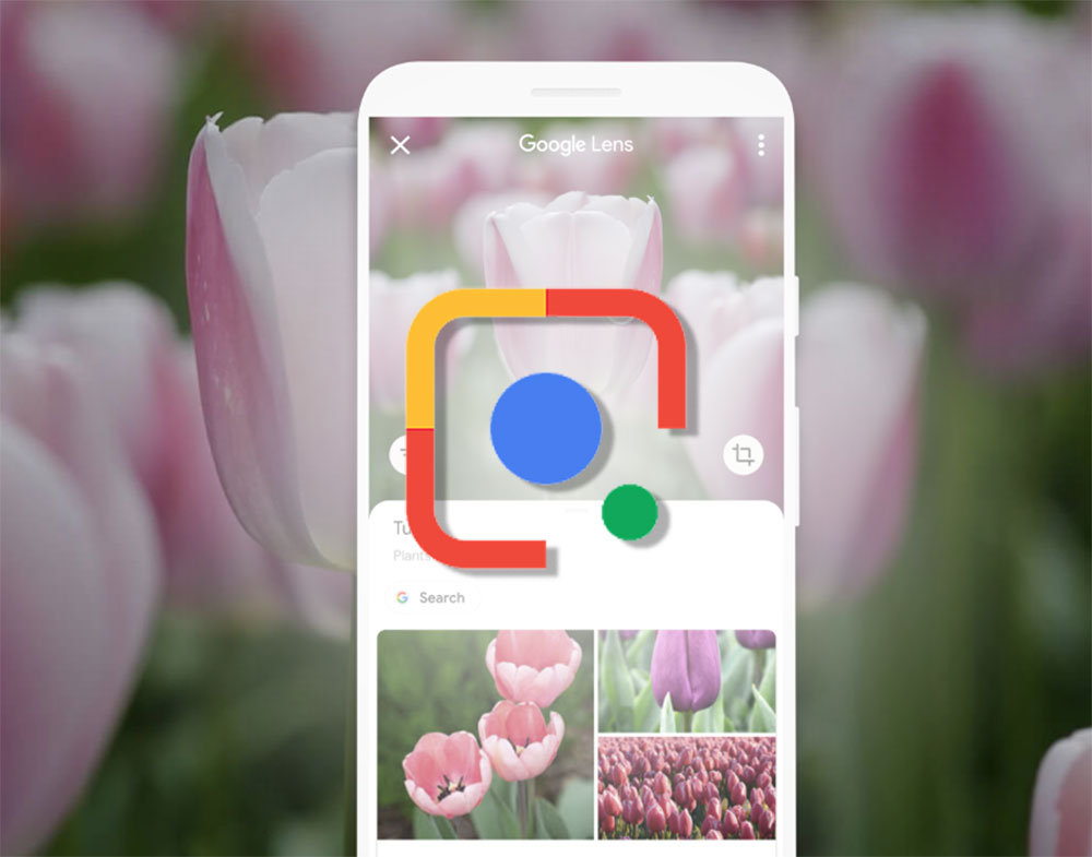 YouTube 的 Google 智慧鏡頭實驗可讓你使用相機尋找影片 - 電腦王阿達 YouTube 的 Google 智慧鏡頭實驗可讓你使用相機尋找影片 - 電腦王阿達
