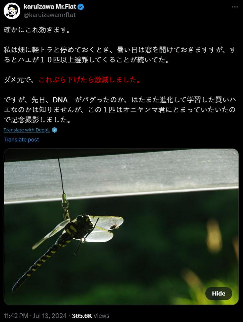 日本奇怪驅蟲神器:「鬼蜻蜓君」無需殺蟲劑,天然驅蚊效果大公開 - 電腦王阿達 日本奇怪驅蟲神器:「鬼蜻蜓君」無需殺蟲劑,天然驅蚊效果大公開 - 電腦王阿達