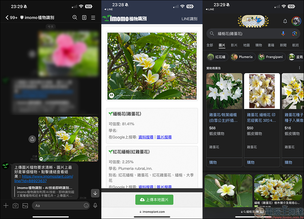 IMOMO 植物 AI 識別功能,眼前的是什麼花?用 LINE 就能分析花卉名稱與相關資訊 - 電腦王阿達 IMOMO 植物 AI 識別功能,眼前的是什麼花?用 LINE 就能分析花卉名稱與相關資訊 - 電腦王阿達