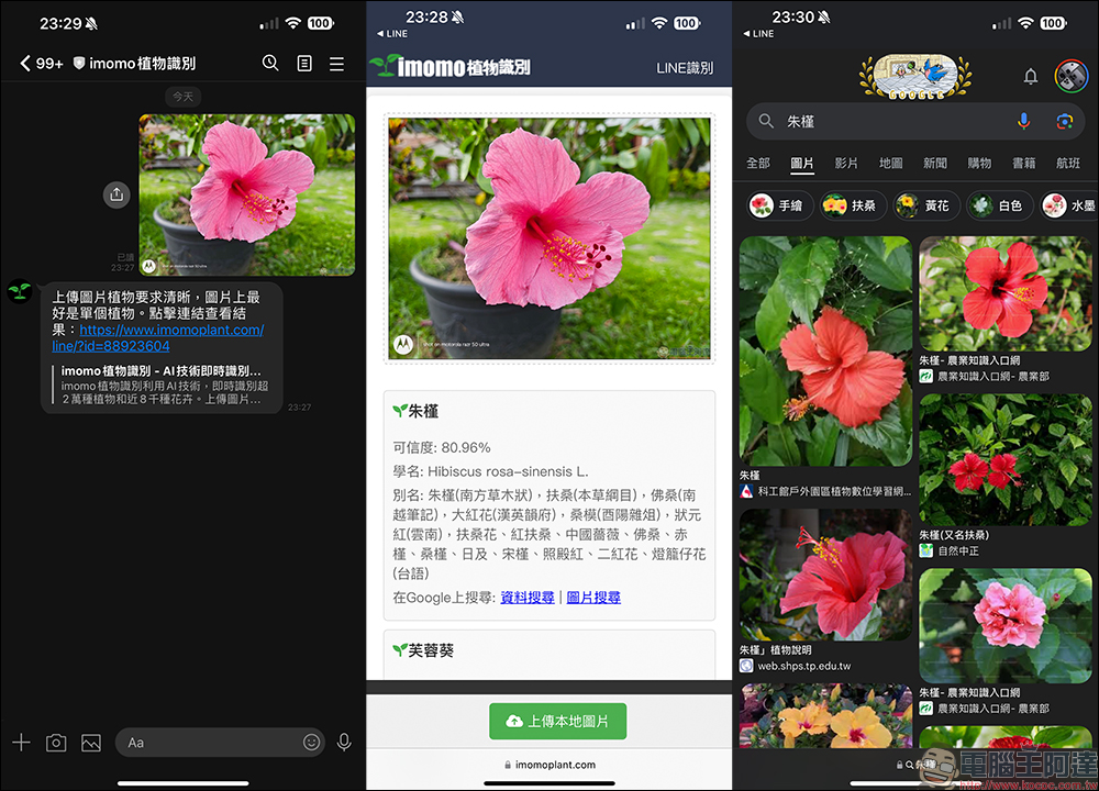 IMOMO 植物 AI 識別功能,眼前的是什麼花?用 LINE 就能分析花卉名稱與相關資訊 - 電腦王阿達 IMOMO 植物 AI 識別功能,眼前的是什麼花?用 LINE 就能分析花卉名稱與相關資訊 - 電腦王阿達