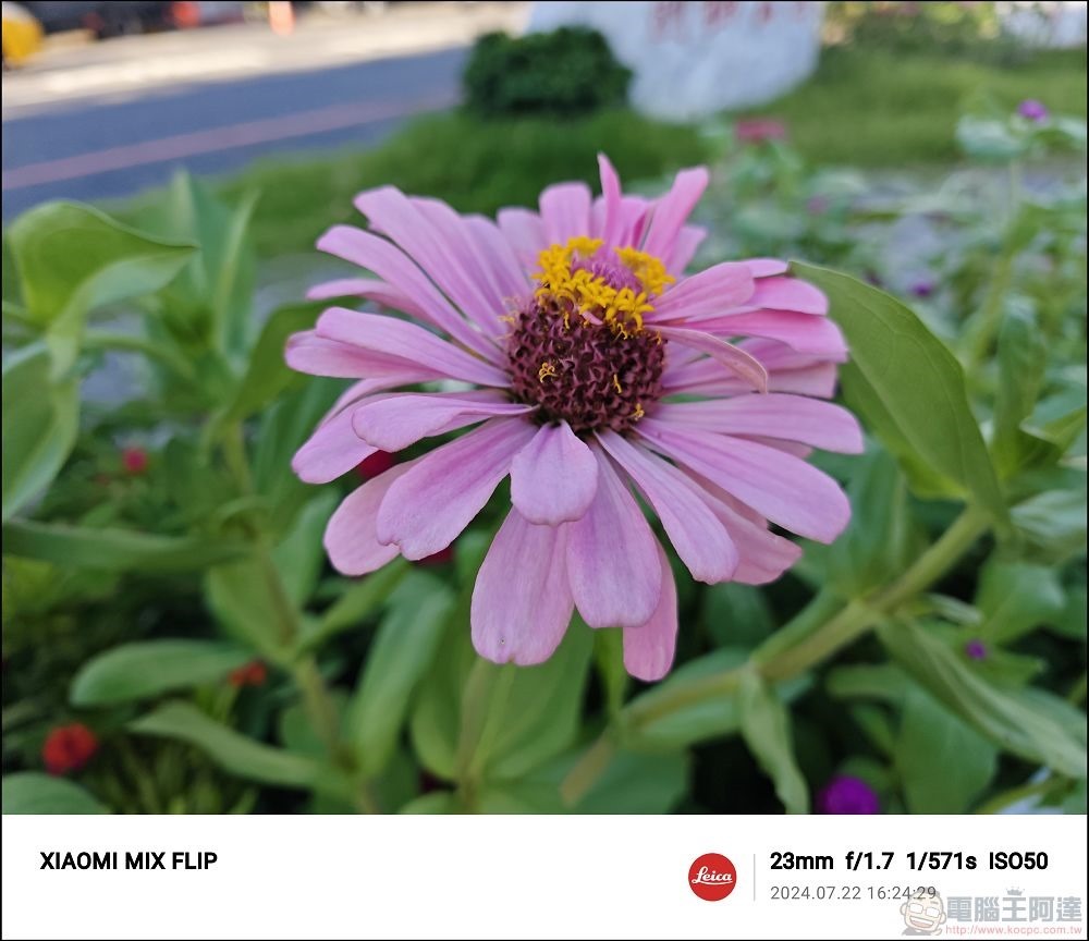 Xiaomi MIX Flip 拍攝樣張 - 26 Xiaomi MIX Flip 拍攝樣張 - 26