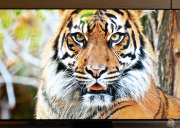 TCL C855