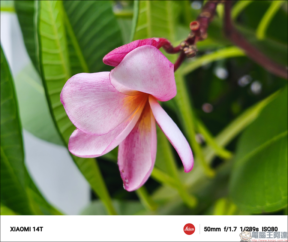小米 Xiaomi 14T 開箱實測|AI 引領夜間攝影革命,光動隨心,讓美一刻更閃耀 - 電腦王阿達 小米 Xiaomi 14T 開箱實測|AI 引領夜間攝影革命,光動隨心,讓美一刻更閃耀 - 電腦王阿達