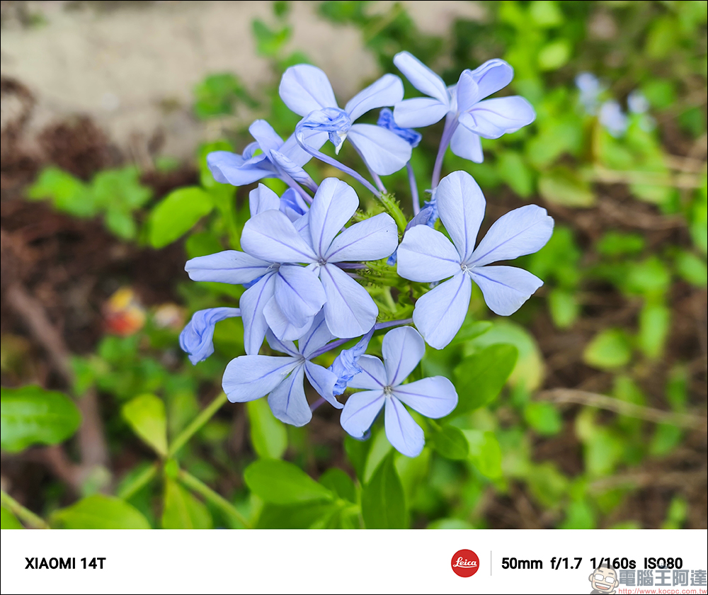 小米 Xiaomi 14T 開箱實測|AI 引領夜間攝影革命,光動隨心,讓美一刻更閃耀 - 電腦王阿達 小米 Xiaomi 14T 開箱實測|AI 引領夜間攝影革命,光動隨心,讓美一刻更閃耀 - 電腦王阿達