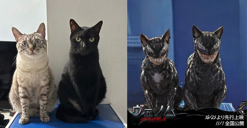 萌寵一秒變身猛毒!日本官方推出免費變身服務 - 電腦王阿達 萌寵一秒變身猛毒!日本官方推出免費變身服務 - 電腦王阿達