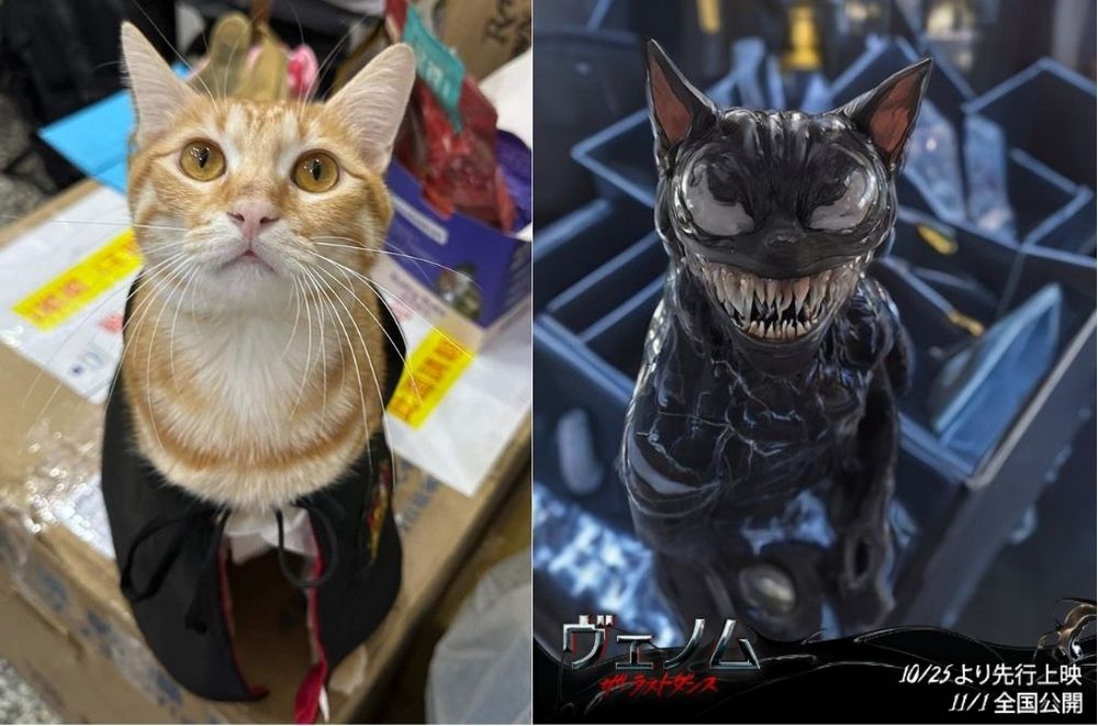 萌寵一秒變身猛毒!日本官方推出免費變身服務 - 電腦王阿達 萌寵一秒變身猛毒!日本官方推出免費變身服務 - 電腦王阿達