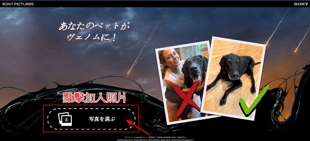 萌寵一秒變身猛毒!日本官方推出免費變身服務 - 電腦王阿達 萌寵一秒變身猛毒!日本官方推出免費變身服務 - 電腦王阿達