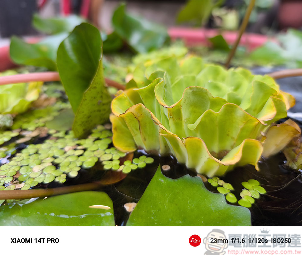 Xiaomi 14T Pro 徠卡大師人文之旅,循著鐵道軌跡實拍體驗 - 電腦王阿達 Xiaomi 14T Pro 徠卡大師人文之旅,循著鐵道軌跡實拍體驗 - 電腦王阿達