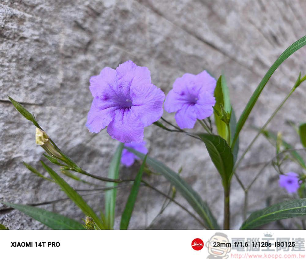 Xiaomi 14T Pro 徠卡大師人文之旅,循著鐵道軌跡實拍體驗 - 電腦王阿達 Xiaomi 14T Pro 徠卡大師人文之旅,循著鐵道軌跡實拍體驗 - 電腦王阿達